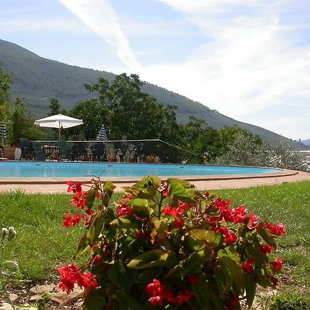 Agriturismo I Mandorli تريفي المظهر الخارجي الصورة