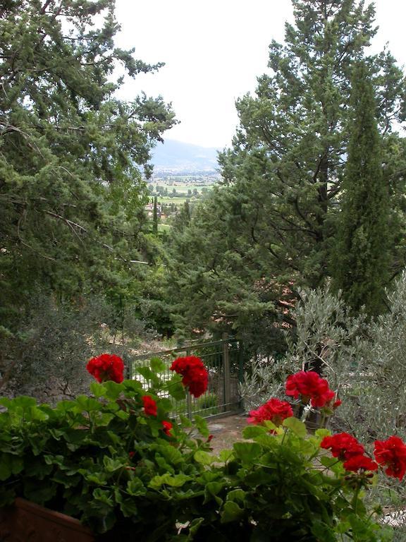 Agriturismo I Mandorli تريفي المظهر الخارجي الصورة